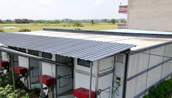 Lựa chọn mới cho việc sấy khô và chế biến lá thuốc lá